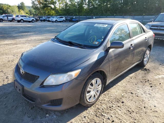 1NXBU4EE1AZ324508 - 2010 TOYOTA COROLLA BASE  照片 2