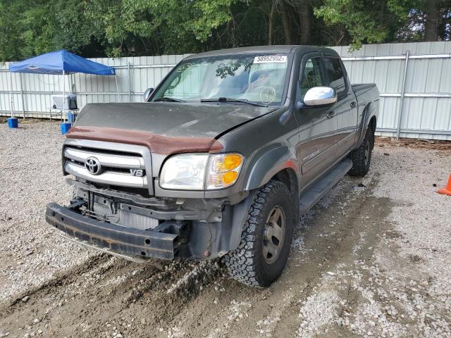 5TBDT44174S451909 - 2004 TOYOTA TUNDRA DOU TAN photo 2