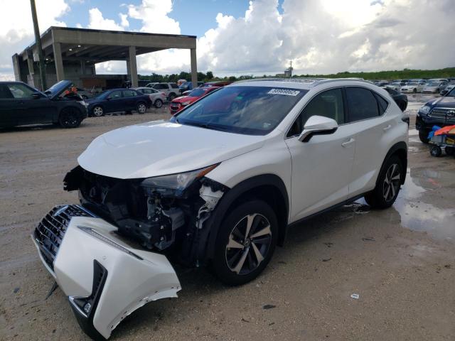 JTJGARDZ4M5030567 - 2021 LEXUS NX 300 BAS 白色 照片 2