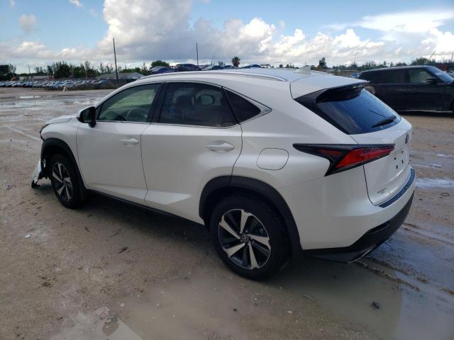 JTJGARDZ4M5030567 - 2021 LEXUS NX 300 BAS WHITE photo 3