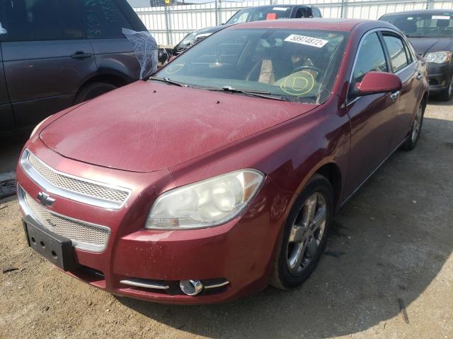1G1ZK57B88F253106 - 2008 CHEVROLET MALIBU LTZ წითელი ფოტო 2