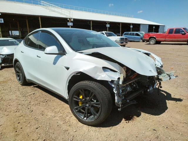 5YJYGDEF3LF023488 - 2020 TESLA MODEL Y WHITE photo 1