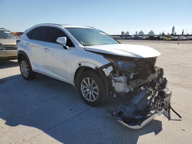 JTJDARBZ5M5021608 - 2021 LEXUS NX 300 BAS 白色 照片 1
