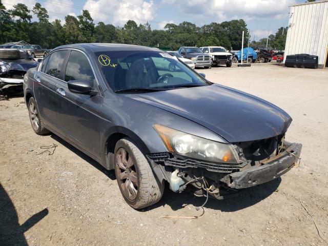 5KBCP3F83AB008895 - 2010 HONDA ACCORD EXL GRAY photo 1