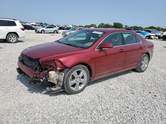 1G1ZC5E16BF235993 - 2011 CHEVROLET MALIBU 1LT 红色 照片 2