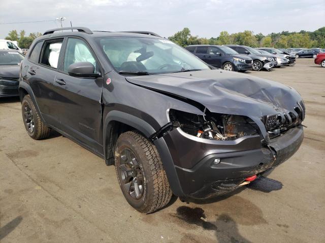 1C4PJMBX3MD210992 - 2021 JEEP CHEROKEE T GRAY photo 1