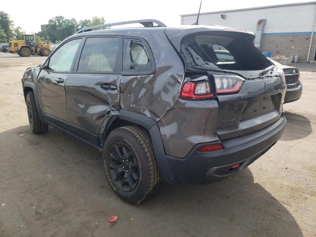 1C4PJMBX3MD210992 - 2021 JEEP CHEROKEE T GRAY photo 3