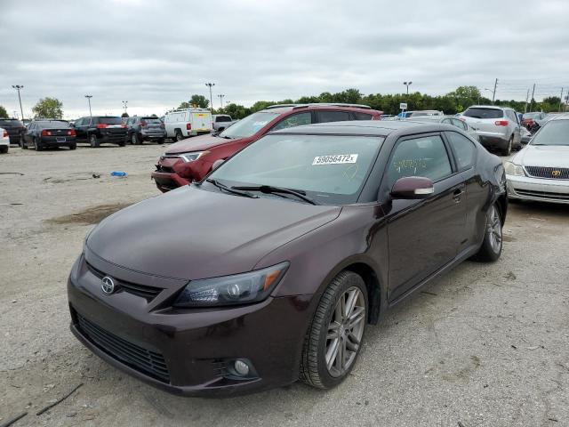 JTKJF5C70B3004441 - 2011 TOYOTA SCION TC 紫色 照片 2