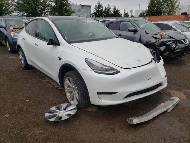 5YJYGDEE4MF067315 - 2021 TESLA MODEL Y أبيض صورة 1
