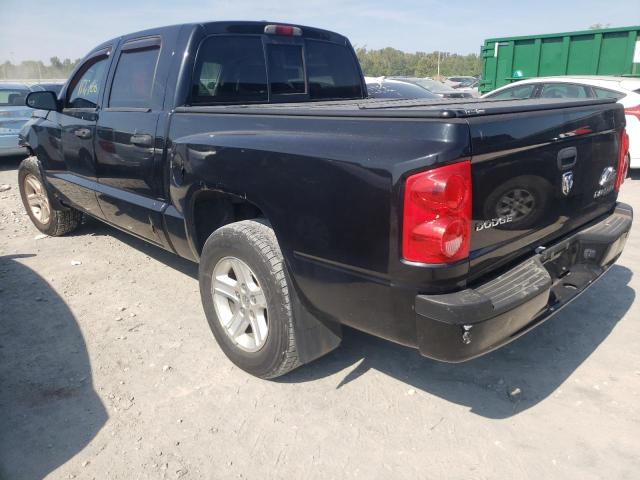 1D7HE38K69S811420 - 2009 DODGE DAKOTA SXT BLACK photo 3