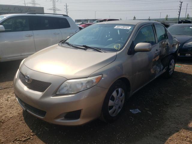 1NXBU4EE1AZ267677 - 2010 TOYOTA CORROLLA S GOLD photo 2