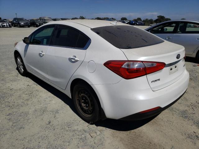 KNAFX4A80E5115531 - 2014 KIA FORTE EX WHITE photo 3