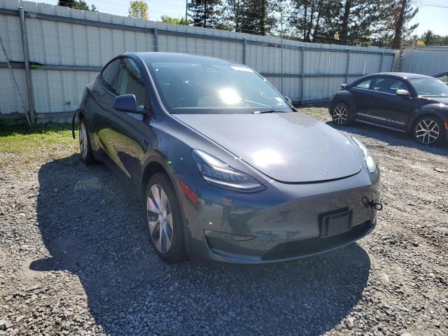 5YJYGDED1MF113870 - 2021 TESLA MODEL Y CHARCOAL photo 1