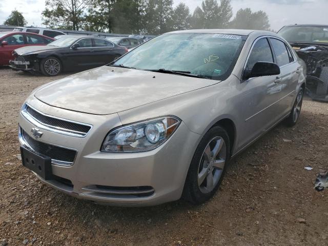 1G1ZG57B594201270 - 2009 CHEVROLET MALIBU LS TAN photo 2