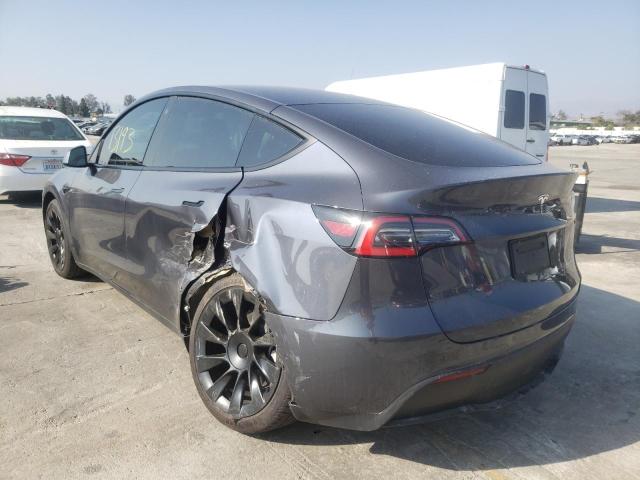 5YJYGDEE9MF067732 - 2021 TESLA MODEL Y GRAY photo 3