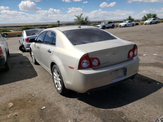 1G1ZE5E7XAF301748 - 2010 CHEVROLET MALIBU LTZ ბეჟი ფოტო 3