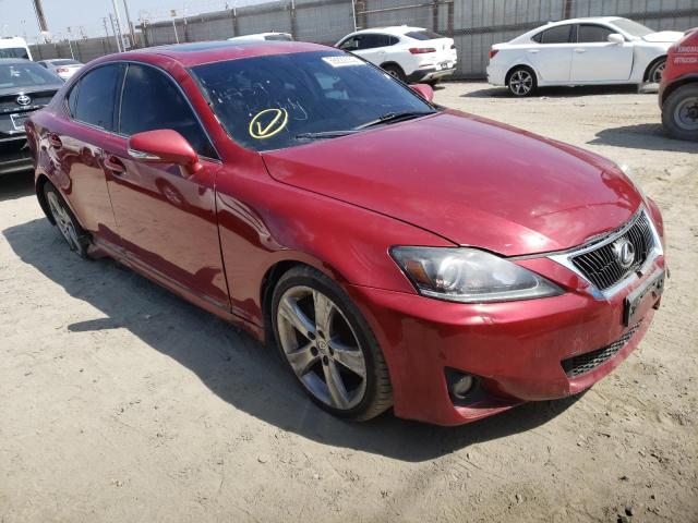 JTHBF5C28C5175278 - 2012 LEXUS IS 250 RED photo 1