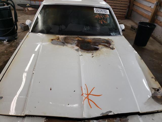 1N69L8J334138 - 1978 CHEVROLET CAPRICE CL 白色 照片 7