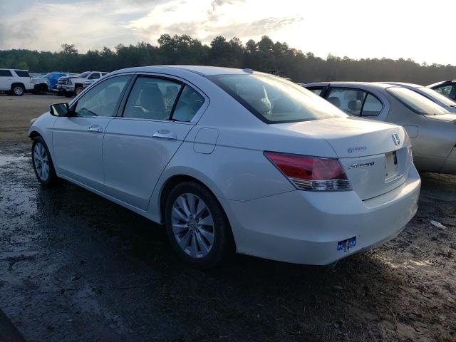 1HGCP368X8A067378 - 2008 HONDA ACCORD EXL WHITE photo 3