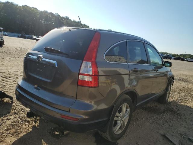 5J6RE3H77AL018128 - 2010 HONDA CR-V EXL TAN photo 4