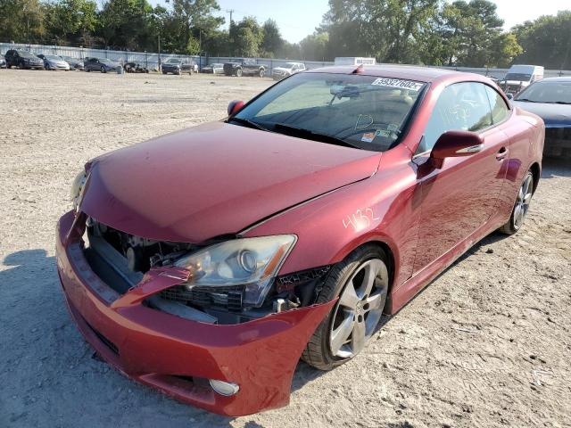 JTHFF2C26A2512366 - 2010 LEXUS IS 250 RED photo 2