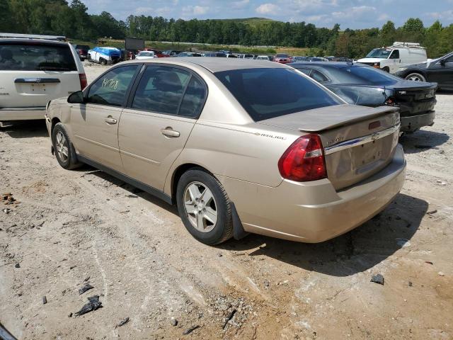 1G1ZT52895F185502 - 2005 CHEVROLET MALIBU LS GOLD photo 3