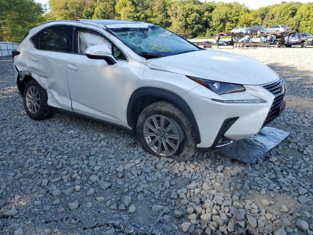 JTJDARDZ1M5026446 - 2021 LEXUS NX 300 BAS WHITE photo 1