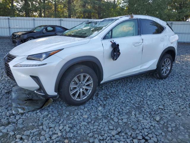 JTJDARDZ1M5026446 - 2021 LEXUS NX 300 BAS 白色 照片 2