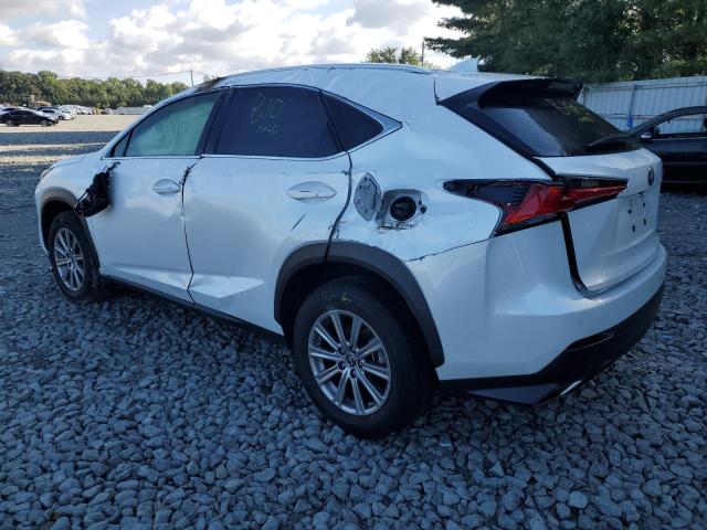 JTJDARDZ1M5026446 - 2021 LEXUS NX 300 BAS WHITE photo 3