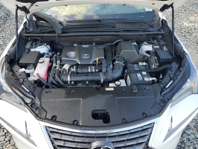 JTJDARDZ1M5026446 - 2021 LEXUS NX 300 BAS 白色 照片 7