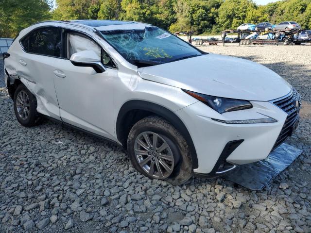 JTJDARDZ1M5026446 - 2021 LEXUS NX 300 BAS WHITE photo 9