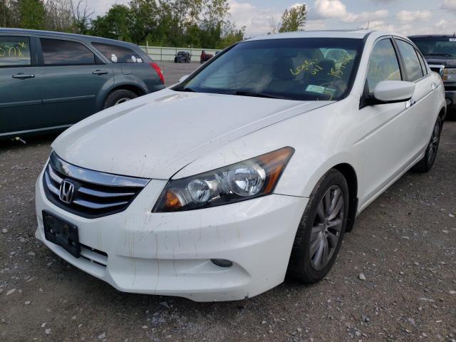 1HGCP3F84CA037043 - 2012 HONDA ACCORD EXL WHITE photo 2