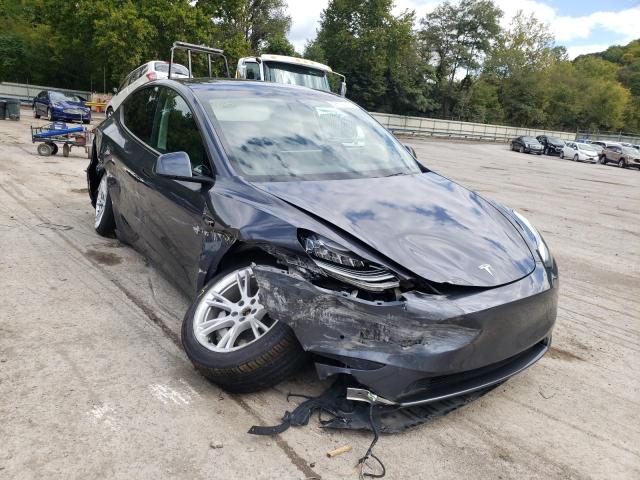 5YJYGDEE0MF077310 - 2021 TESLA MODEL Y Graphite photo 1