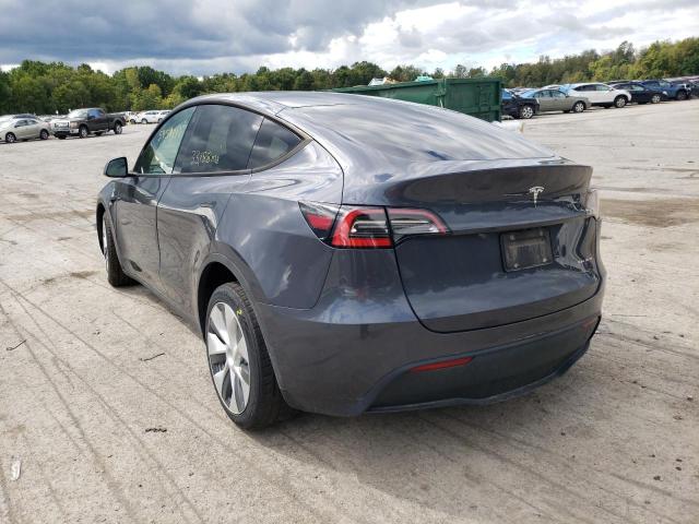 5YJYGDEE0MF077310 - 2021 TESLA MODEL Y Graphite photo 3