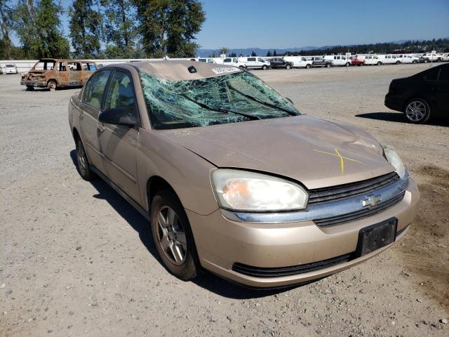 1G1ZT54885F271462 - 2005 CHEVROLET MALIBU LS TAN photo 1