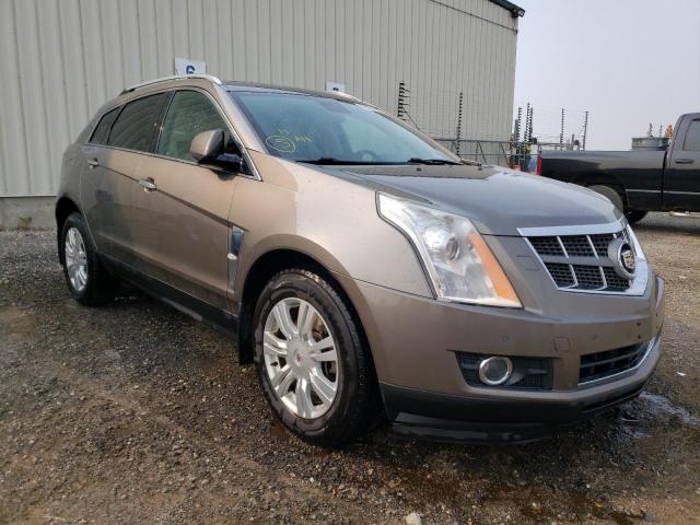 3GYFNEEYXBS514886 - 2011 CADILLAC SRX PERFORMANCE COLLECTION  photo 1