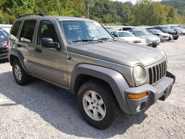 1J4GL48K43W576673 - 2003 JEEP LIBERTY SP GOLD photo 1