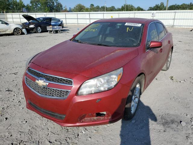 1G11D5RR4DF120872 - 2013 CHEVROLET MALIBU 1LT RED photo 2