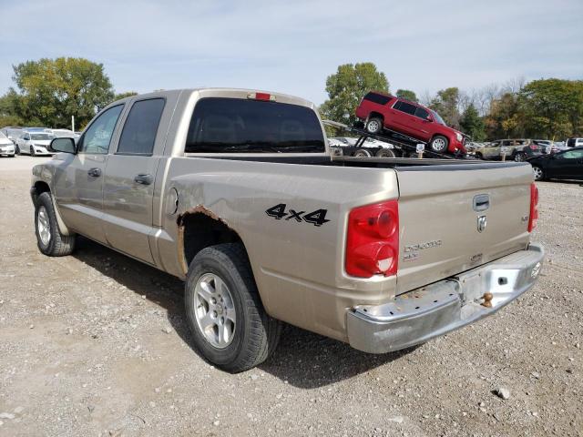 1D7HW48N55S158800 - 2005 DODGE DAKOTA QUA TAN photo 3