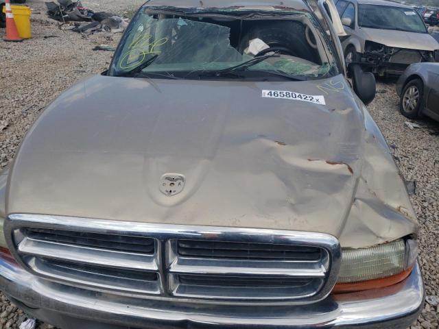 1D7HG48N33S177789 - 2003 DODGE DAKOTA QUA GOLD photo 7