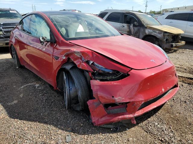 5YJYGDEF5MF272036 - 2021 TESLA MODEL Y RED photo 1