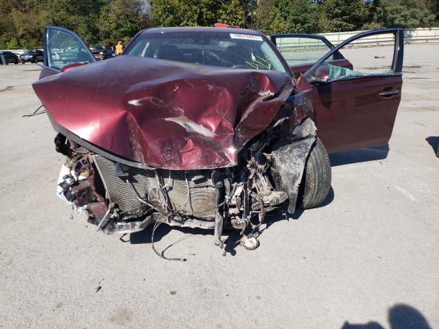 4T1BK1EB2HU244090 - 2017 TOYOTA AVALON XLE BURGUNDY photo 7