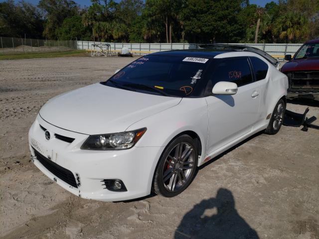 JTKJF5C7XB3013096 - 2011 TOYOTA SCION TC Blanc photo 2
