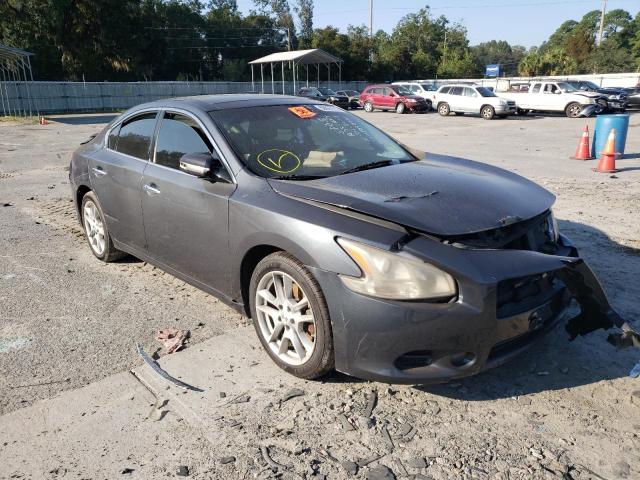 1N4AA5AP6BC809004 - 2011 NISSAN MAXIMA GRAY photo 1