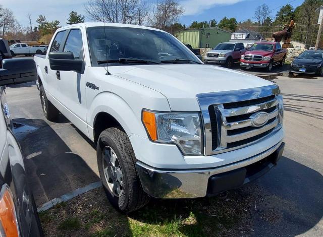 1FTRW14859FA87058 - 2009 FORD F150 SUPER WHITE photo 1