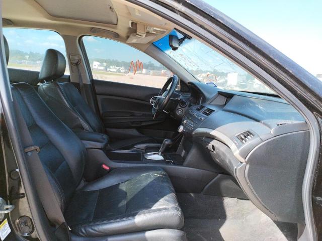 1HGCP36859A005226 - 2009 HONDA ACCORD EXL BLACK photo 5