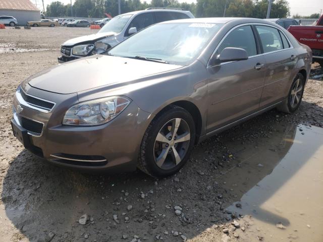 1G1ZC5E13BF281961 - 2011 CHEVROLET MALIBU 1LT 灰色 照片 2