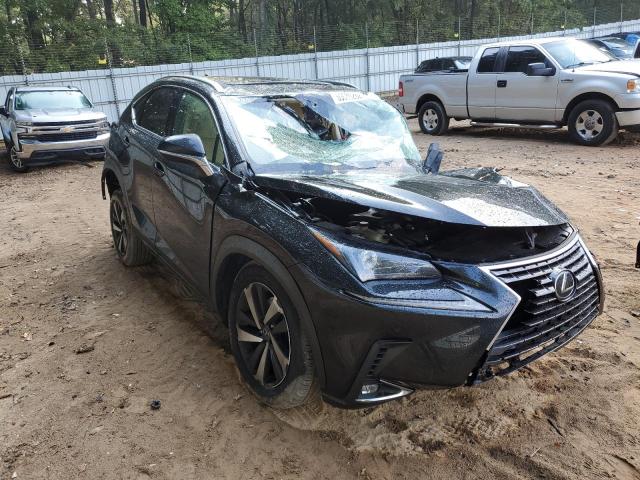 JTJYARBZ2K2146789 - 2019 LEXUS NX 300 BAS BLACK photo 1