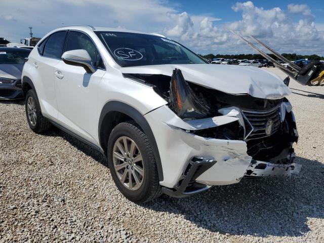 JTJDARBZ1M5032993 - 2021 LEXUS NX 300 BAS 白色 照片 1