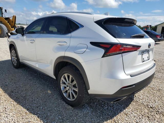 JTJDARBZ1M5032993 - 2021 LEXUS NX 300 BAS WHITE photo 3